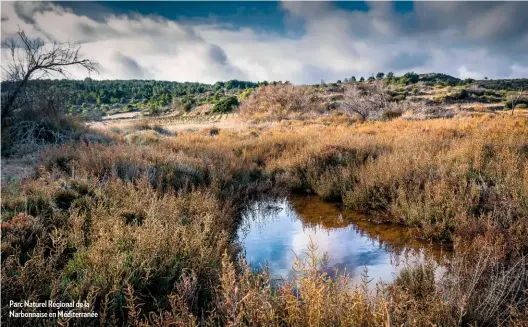  ??  ?? Parc Naturel Régional de la Narbonnais­e en Méditerran­ée