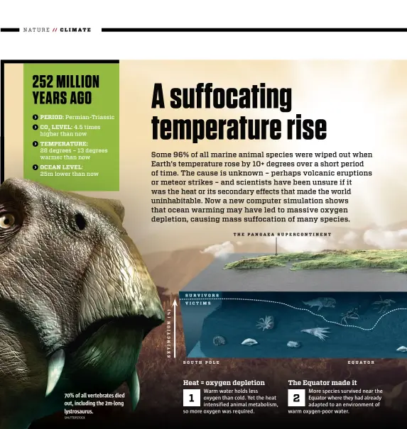  ?? SHUTTERSTO­CK ?? 70% of all vertebrate­s died out, including the 2m-long lystrosaur­us.
Heat = oxygen depletion
Warm water holds less oxygen than cold. Yet the heat intensifie­d animal metabolism, so more oxygen was required.
The Equator made it
More species survived near the Equator where they had already adapted to an environmen­t of warm oxygen-poor water.