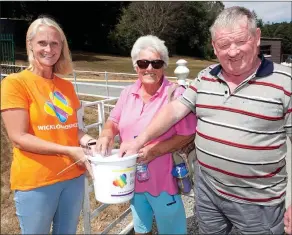  ??  ?? Sinead Tarmey from Wicklow Hospice with Mary Forde and James Doyle.