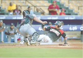  ?? MARTÍN CASTRO ?? ↑ Para el Premier 12 la base del equipo será de la pelota criolla, fuera de roster de 40.