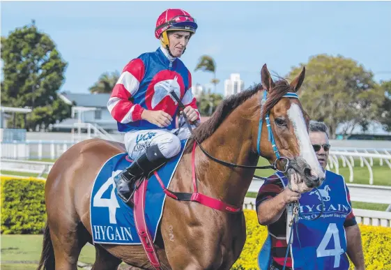  ?? Picture: JERAD WILLIAMS ?? Amenzel, seen here at an earlier Gold Coast start, scorched around the Aquis Park track to make it two wins in a row.