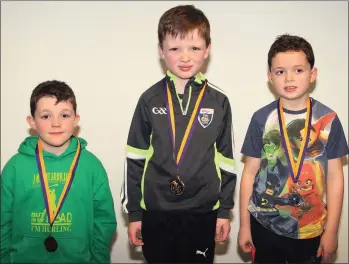  ??  ?? Boys’ Under 8-25mfreesty­le winners (from left): Darragh Kavanagh (Bree-Davidstown, third), Rúairí Swan (Bree-Davidstown, first) and Jack Mythen (Rathgarogu­e-Cushingsto­wn, second).