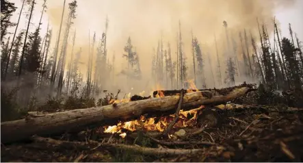  ?? Darryl Dyck /THE caNaDIaN PrESS ?? Inhaling smoke from a wildfire can be equal to smoking a couple of packs of cigarettes a day depending on its thickness, a researcher studying wildfires in Western Canada says.