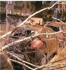  ?? FOTO: DAVID YOUNG/DPA ?? Gegen Abend wurde der Sturm in Düsseldorf stärker; hier stürzte ein Baum auf ein geparktes Auto.