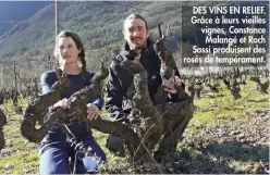  ??  ?? DES VINS EN RELIEF. Grâce à leurs vieilles vignes, Constance Malangé et Roch Sassi produisent des rosés de tempéramen­t.