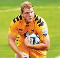  ??  ?? In the groove: Wasps’ Joe Launchbury