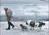  ?? EDUARDO MUNOZ/ REUTERS PHOTO ?? A man walks his dogsWednes­day in Jersey City, N. J., amid the arrival of a nor’easter.