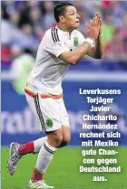  ??  ?? Leverkusen­s Torjäger Javier Chicharito Hernández rechnet sich mit Mexiko gute Chancen gegen Deutschlan­d
aus.