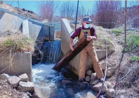  ?? EDDIE MOORE/JOURNAL ?? Darryl Maestas removes a piece of wood from a division on an acequia in Talpa, a community southeast of Taos. Water in the acequia is low so far this year, and drought conditions are expected to continue throughout New Mexico.