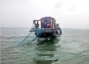  ??  ?? Mechanised bottom trawling in broad daylight in the Puttalam lagoon