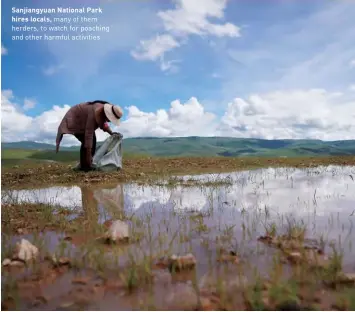  ??  ?? Sanjiangyu­an National Park hires locals, many of them herders, to watch for poaching and other harmful activities