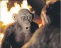  ?? Photograph­s by Twentieth Century Fox ?? helps transform actor Steve Zahn into his simian character “Bad Ape” in the film “War for the Planet of the Apes,” in theaters July 14.