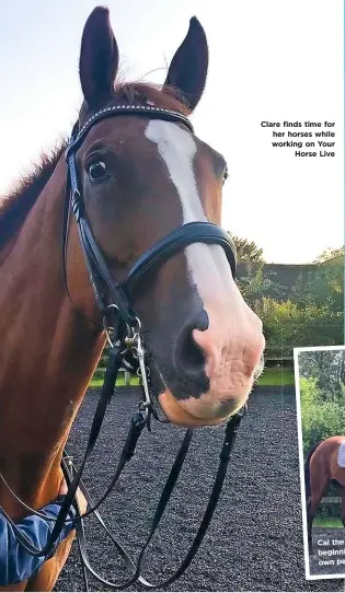  ??  ?? Clare finds time for her horses while working on Your Horse Live is Cal t he ex-racehorse beginning to find his own p ersonality