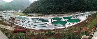  ?? PROVIDED TO CHINA DAILY ?? The fishery breeding base of Wangmo county, Guizhou province.
