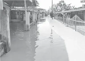  ??  ?? PEKARANGAN salah sebuah rumah di Kampung Baru Hilir Sri Aman yang dinaiki air kelmarin yang mengundang keresahan berpanjang­an penduduk.