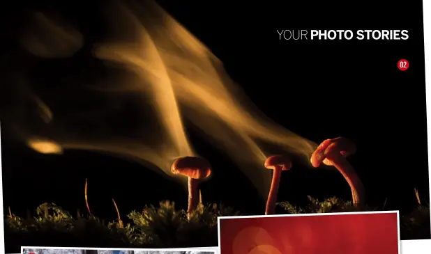  ??  ?? 02 03 INFRARED TOADSTOOLS A converted Canon EOS-1D Mark II N was used to create this infrared shot Lens Canon ef 100mm f/2.8l Macro is Exposure 1/3 sec, f/8, iso1600 04 RED AUTUMN TOADSTOOL BOKEH The Canon Extender EF 1.4x converter was used to increase the reach of this lens Lens Canon ef 180mm f/3.5l Macro USM Exposure 1/4000 sec, f/5, iso800