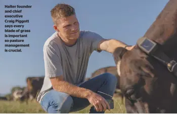  ?? ?? Halter founder and chief executive Craig Piggott says every blade of grass is important so pasture management is crucial.