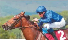  ?? Rex Features ?? Cross Counter (William Buick) is likely to be red-hot favourite in the Voltigeur, a 2,400-metre contest.