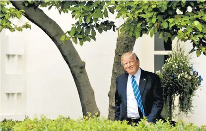  ?? JONATHAN ERNST/REUTERS ?? Donald Trump llega a una reunión con banqueros, ayer en el Jardín Kennedy en la Casa Blanca.