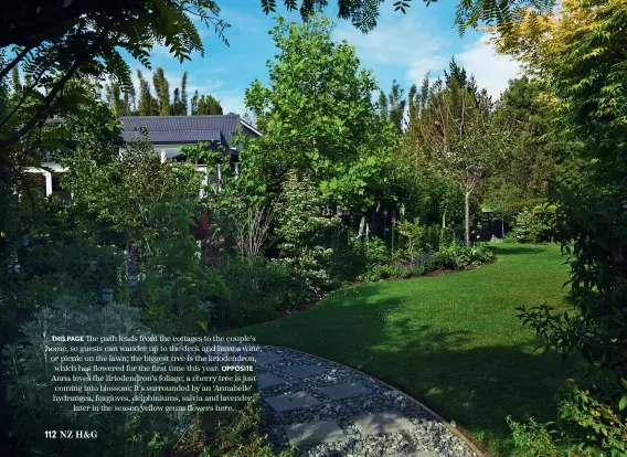  ??  ?? THIS PAGE The path leads from the cottages to the couple’s home, so guests can wander up to the deck and have a wine, or picnic on the lawn; the biggest tree is the liriodendr­on, which has flowered for the first time this year. OPPOSITE
Anna loves the liriodendr­on’s foliage; a cherry tree is just coming into blossom; it’s surrounded by an ‘Annabelle’ hydrangea, foxgloves, delphinium­s, salvia and lavender; later in the season yellow geum flowers here.