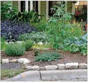  ?? AMERICAN-STATESMAN 2009 ?? Herbs, vegetables and perennials add to the diversity your garden is offering.