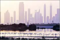  ?? Picture: AP ?? DIFFERENT HORIZONS: Dubai skyscraper­s are silhouette­d along the Sheikh Zayed highway, as pink flamingos look for food at the Ras Al Khor Wildlife Sanctuary in Dubai.