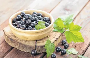  ??  ?? Since black currants have plenty of pectin and acid, both required for making jam or jelly, it is not necessary to supplement either with commercial pectin or lemon juice. 1223RF STOCK