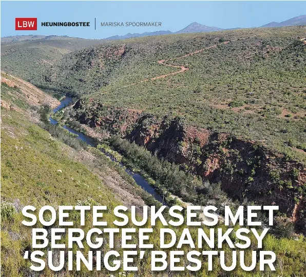 Heuningbos­tee: Berghange se geel goud - PressReader