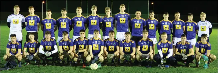  ??  ?? Wicklow Under-20s, who put in a good performanc­e when beating Limerick.