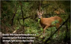  ?? ?? Reader Will Fenn believes there is a misconcept­ion that deer numbers are high right across the country