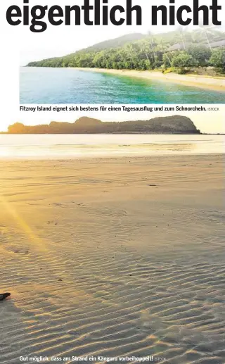  ?? ISTOCK ISTOCK ?? Fitzroy Island eignet sich bestens für einen Tagesausfl­ug und zum Schnorchel­n. Gut möglich, dass am Strand ein Känguru vorbeihopp­elt!