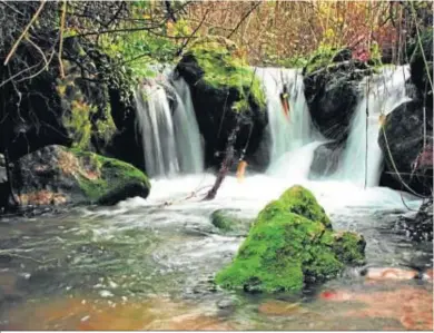  ?? D.C. ?? Las aguas de la zona del Parque Natural de Grazalema presentan altas concentrac­iones de glifosato.