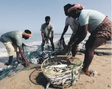  ?? Satish Kumar / The National ?? At Al Rams fishing area, Ras Al Khaimah, fishermen sift through their nets and assess the day’s catch