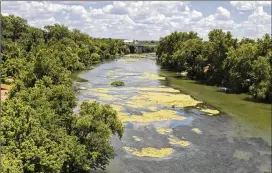  ?? RICARDO B. BRAZZIELL / AMERICAN- STATESMAN ?? Algae blooms in the Colorado River between Loop 150 and Texas 71. The blooms can cause drinking water to have what an Austin Water Utility spokeswoma­n called “a more earthy and grassy taste and smell.” When that happens, the utility treats the water until it returns to its normal taste and smell, she said.