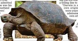  ?? ?? EVIDENCE: Darwin studied the giant Galapagos tortoise