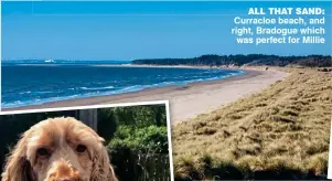  ??  ?? ALL THAT SAND: Curracloe beach, and right, Bradogue which was perfect for Millie