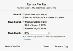  ??  ?? Reduce File Size can help compress files bloated due to multimedia that’s larger or includes more detail than needed.