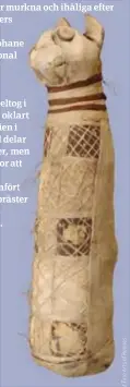  ?? ?? Forskarna skiktröntg­ade den gamla egyptiska kattmumien för att se innehållet.