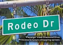  ??  ?? ‘Paypigs’ treat Diamond Diva Princess to luxury shopping sprees