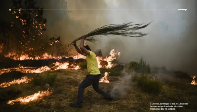  ??  ?? À Caramulo, au Portugal, en août 2013. Deux mille hectares sont partis en fumée, nécessitan­t l’interventi­on de 1 400 pompiers.