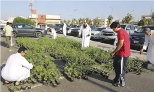  ??  ?? People check Moringa saplings given away by Kuwaiti farmer Nasser Al-Azmi.