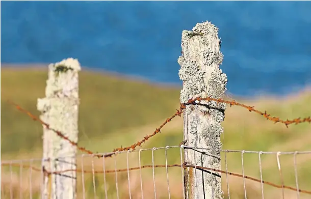  ?? ?? HELPING HAND: More must be done by the Crofting Commission to highlight the best options available to those passed a crofting tenancy.