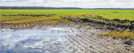  ?? FOTO: ANDREAS FRANKE/IMAGO ?? Nicht nur in Südbranden­burg stehen Wiesen und Felder unter Wasser. Der regenreich­e Winter beschert Vor- und Nachteile.