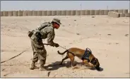  ?? REUTERS ?? A US soldier trains a sniffer dog to detect explosive devices at Qayyara airbase in Mosul, Iraq on 10 August, 2017.