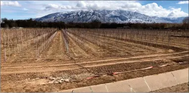  ?? AP PHOTO BY SUSAN MONTOYA BRYAN ?? This Feb. 17, 2021 file photo shows an empty irrigation canal at a tree farm in Corrales, N.M., with the Sandia Mountains in the background, as much of the West is mired in drought, with New Mexico, Arizona, Nevada and Utah being among the hardest hit. The National Oceanic and Atmospheri­c Administra­tion’s official spring outlook Thursday, March 18, sees an expanding drought with a drier than normal April, May and June for a large swath of the country from Louisiana to Oregon. including some areas hardest hit by the most severe drought. And nearly all of the continenta­l United States is looking at warmer than normal spring, except for tiny parts of the Pacific Northwest and southeast Alaska, which makes drought worse.