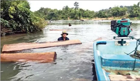  ?? POLICE ?? Timber found in a river in Ratanakkir­i province’s O’Yadav district.