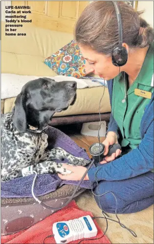 ??  ?? LIFE-SAVING: Carla at work monitoring Teddy’s blood pressure in her home area