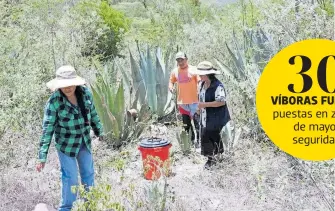  ?? CORTESÍA: PARQUE NACIONAL LOS MARMOLES ?? Brigada Comunitari­a realiza las labores a fin de evitar ataques