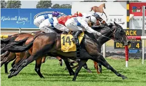  ?? RACE IMAGES NI ?? Seven Seas and rider Rosie Myers get up to win at Taranaki yesterday.