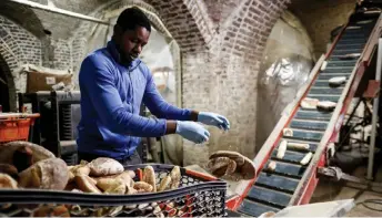  ?? ?? An Eclo’s worker throws bread waste into a machine to produce substrates to grow organic mushrooms in Brussels.